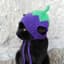 Eggplantkitty80