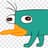 Perry The Platypus