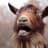 GaryTheGoat