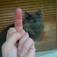 Bobo