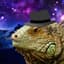 lizardvoodoo/tv