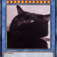[HLL ITA] MCRdestroya