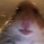 NanNan411