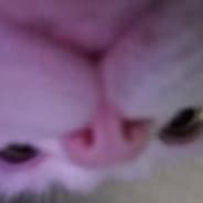 SyKbtw