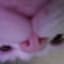 SyKbtw