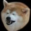 I'm a doggo