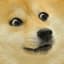 Doge🐕