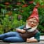 Local Wizerd Gnome