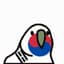 Korea-Parrot