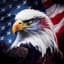 The United States of America