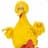 BigBird