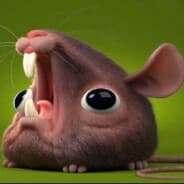 Rat