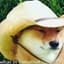 Cowboi Doggo