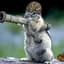 EvilSquirrel