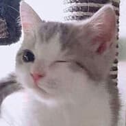 Blackmau
