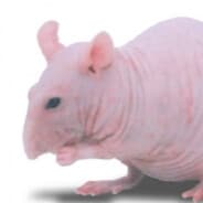 S®