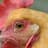 Chickenman