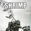 Shrimp