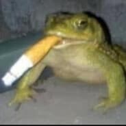 Knister69