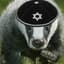 Jewbadger