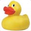 HackedDuck