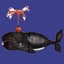 Saucy Whale