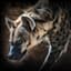 Hyena