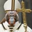 Pope Orangutan