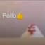 Pollo 👍