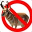 dang2antelopes