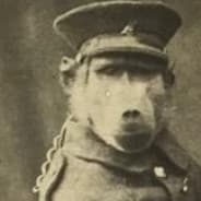 General