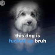 no