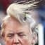 Trumps Hair