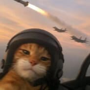 Sgt. Katze