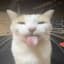 Lauramper1337