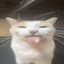 Dogeuette