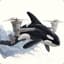 KillerWhale22