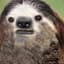 Slothy