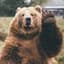 BearWarrior