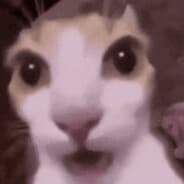 Seavaetaerae