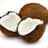 coconut
