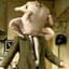 Mr.turkey