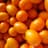 Some Kumquats