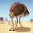 Oblivious Ostrich