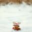 Moose Juice