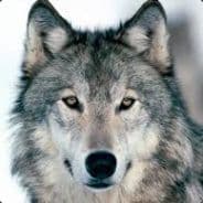Wölfe