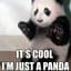 PandaMcPampers
