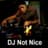 DJ Not Nice