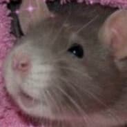 RatDad