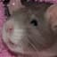 RatDad